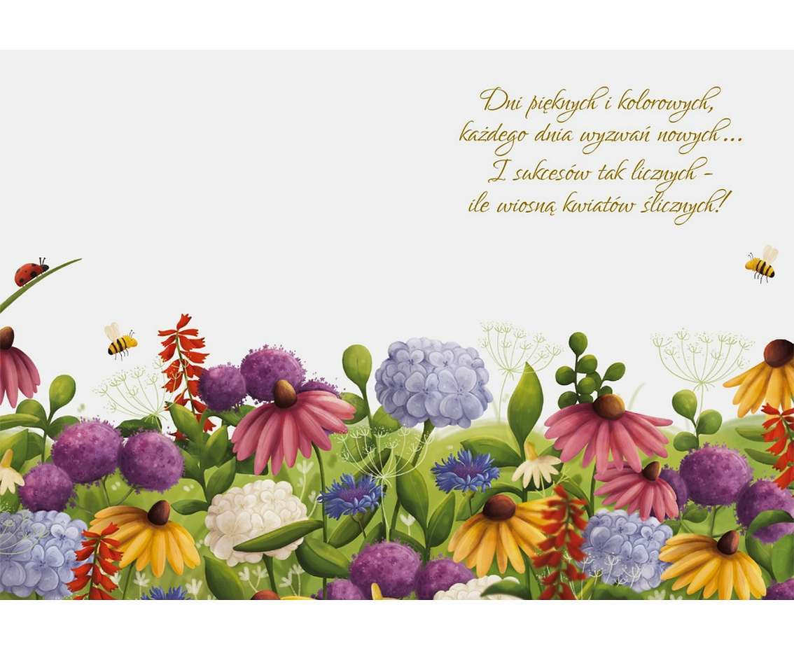 Greeting card CARD B6 Bouquet of color